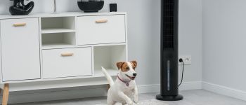 Климатический комплекс RAWMID Modern RMF-01: полный обзор универсального решения для идеального микроклимата