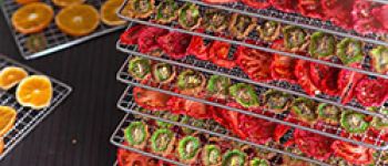  Дегидратор – что за аппарат и с чем его «едят».