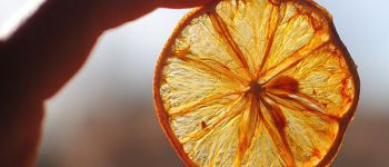 Дегидратор как путь к здоровым привычкам