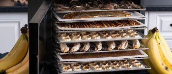 Дегидраторы RAWMID Modern и Vitamin на 7 лотков — в наличии!