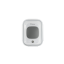 Стеклянный контейнер RAWMID RGC-03