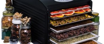 Сравнительный обзор дегидраторов Sedona, Excalibur, Ezidri, RawMID и сушки Ветерок