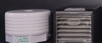 Сравнение сушилок для овощей и фруктов: какую лучше выбрать?