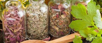 Сушка трав в дегидраторе