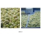 Микроферма RAWMID Dream Sprouter SDM-02 (проращиватель и выращиватель)