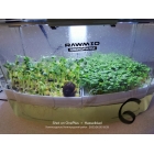 Микроферма RAWMID Dream Sprouter SDM-02 (проращиватель и выращиватель)