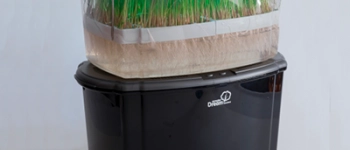 Поливитамины из аптеки или проращиватель: что поможет в борьбе с авитаминозом?