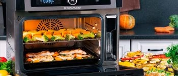 Мультипечь с паром RAWMID RFM-01: Полный обзор