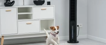 Климатический комплекс RAWMID Modern RMF-01: полный обзор универсального решения для идеального микроклимата