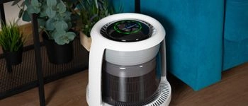 Как сохранить цветы свежими надолго: советы от флористов