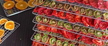  Дегидратор – что за аппарат и с чем его «едят».