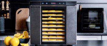 Профессиональный дегидратор RAWMID Dream PRO 2 DDP-10: полный обзор