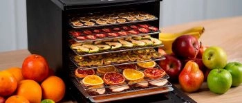 Дегидратор RAWMID Classic RCD-06: ваш помощник для здорового питания