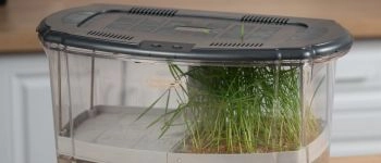 Как проращиватель меняет жизни людей?