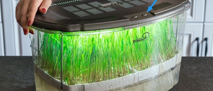 Микроферма RAWMID Dream Sprouter SDM-02: выращивание микрозелени и проращивание семян