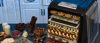 Сравнение дегидраторов