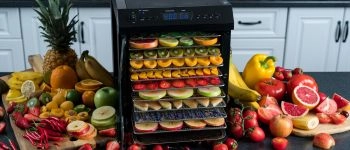 Руководство по сушке продуктов в дегидраторе