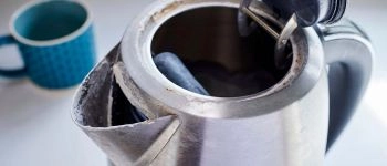 Почему появляется накипь в чайнике — причины и эффективные способы профилактики