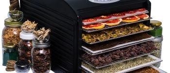 Сравнительный обзор дегидраторов Sedona, Excalibur, Ezidri, RawMID и сушки Ветерок