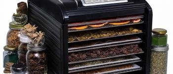 Дегидратор Dream Vitamin: теперь ещё быстрее и эффективнее