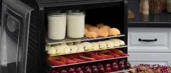 Как выбрать дегидратор?