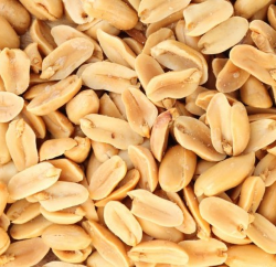 приготовление арахисовой пасты с помощью блендера