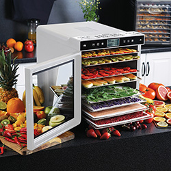 Дегидратор для сухофруктов RAWMID Modern